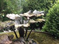 Trebah Garden Cornwall