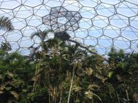 Eden Project