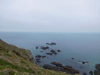 DSCN0494