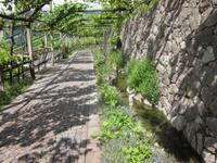 Botan. Gärten Trauttmannsdorf