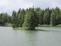 Felixer Weiher
