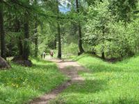 Weg nach St. Felix
