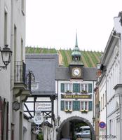 Gasse mit Weinberg