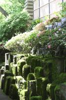 Hase-dera-Tempel Kamakura