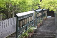 Miyajima Daisho-in Tempel