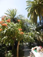 Santa Cruz - Teneriffa