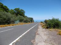 Esperanzawald - Teneriffa