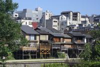 Kyoto am Kamo-Fluss