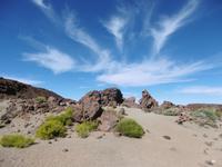 Nationalpark Teide - Teneriffa