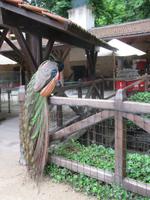 Schloss Clos Lucé - Garten