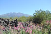 Mittelmeerkreuzfahrt mit Mein Schiff 2 (232)