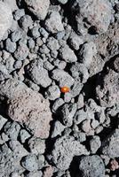 Mittelmeerkreuzfahrt mit Mein Schiff 2 (262)