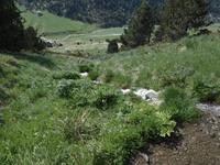 Wanderung im Vall d'Incles