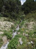 Wanderung im Vall d'Incles - kleiner Wasserlauf am Wegesrand