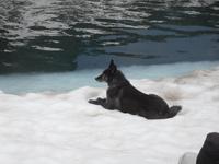 Wanderung im Vall d'Incles - Rika im Schnee