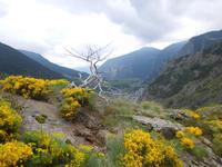 Vall del Riu