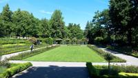 Bern, Stadtführung-Rosengarten