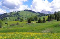 Seiser Alm (8)