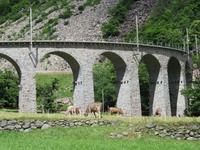Glacier-Bernina-Reise, Kreisviadukt Brusio