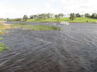 Stopp am Shannon