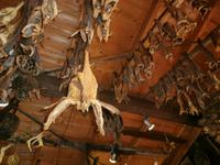 Russens Silberschmiede-Stockfisch