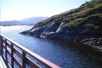 Stopp am Atlanterhavsveien