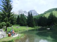 Am Almsee