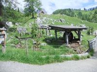 Auf der Hofalm