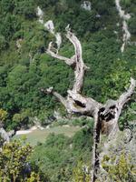 05 an der Schlucht des Verdon