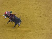 Campo Pequeno - Stierkampfarena Lissabon