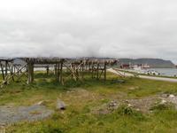 Stockfischgestelle Lofoten