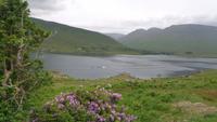 Killary Harbour
