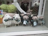 Auf Wiedersehen Irland