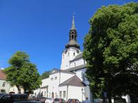 Tallinn Dom