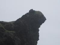 Fels an der Lavaküste bei Dritvik