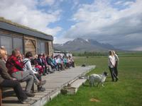 Bei der Vorführung auf dem Pferdehof