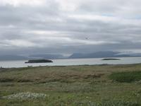 Gletscherzungen des Vatnajökull