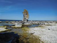 Gotland_Farö (4)