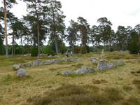 Hjortsberga_Gräberfeld