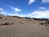 Teide und Orotava  (40)