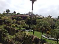 Teide und Orotava  (47)