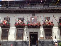 Teide und Orotava  (53)