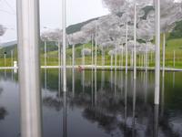 Swarovski Kristallwolke