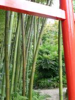 Hellergarten Gardone