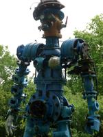 Spoerrigarten bei Seggiano