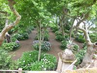 Villa Aldobrandini, Frascati