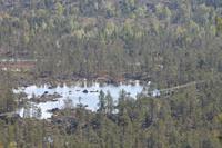 Bärenhöhle bei Inari (Finnland) - Aussichtspunkt Inari-See