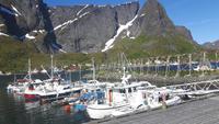 Lofoten (Reine)