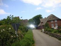 Insel Föhr