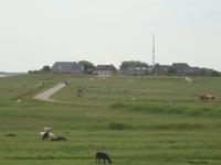 Hallig Hooge